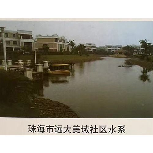 珠海市遠(yuǎn)大美域社區(qū)水系