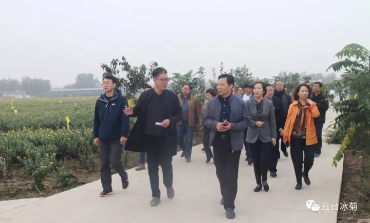 云臺(tái)冰菊基地發(fā)生了什么？一批批領(lǐng)導(dǎo)專家團(tuán)隊(duì)前來！