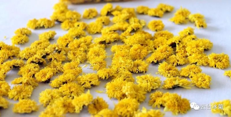 2018，種下希望，靜待花開(kāi)！